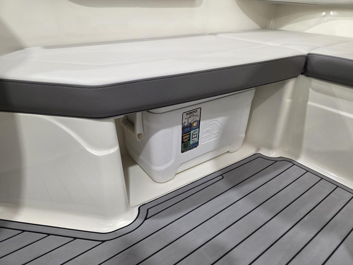 Sea Ray SPX 210 Te koop bij Bomert watersport Giethoorn