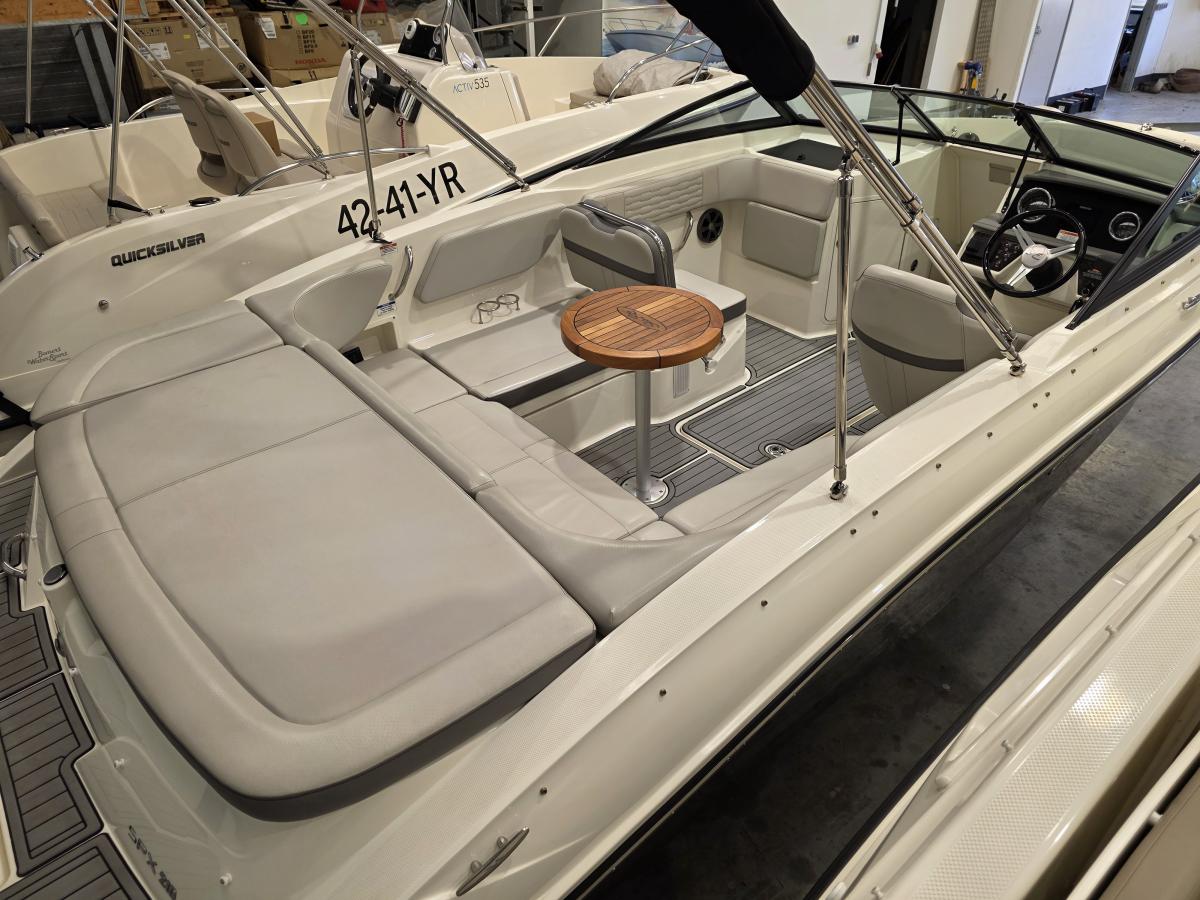 Sea Ray SPX 210 Te koop bij Bomert watersport Giethoorn