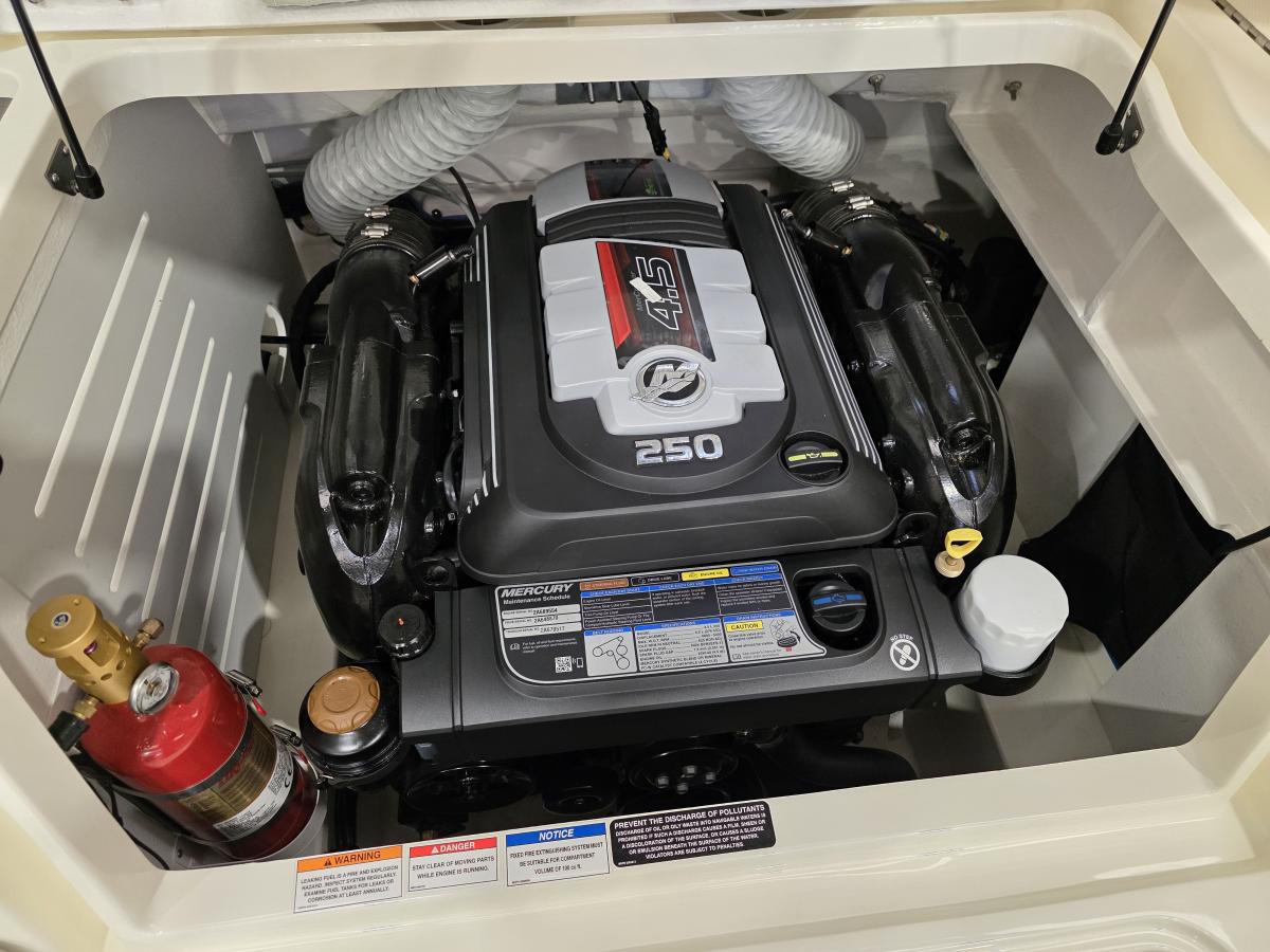Sea Ray SPX 210 Te koop bij Bomert watersport Giethoorn