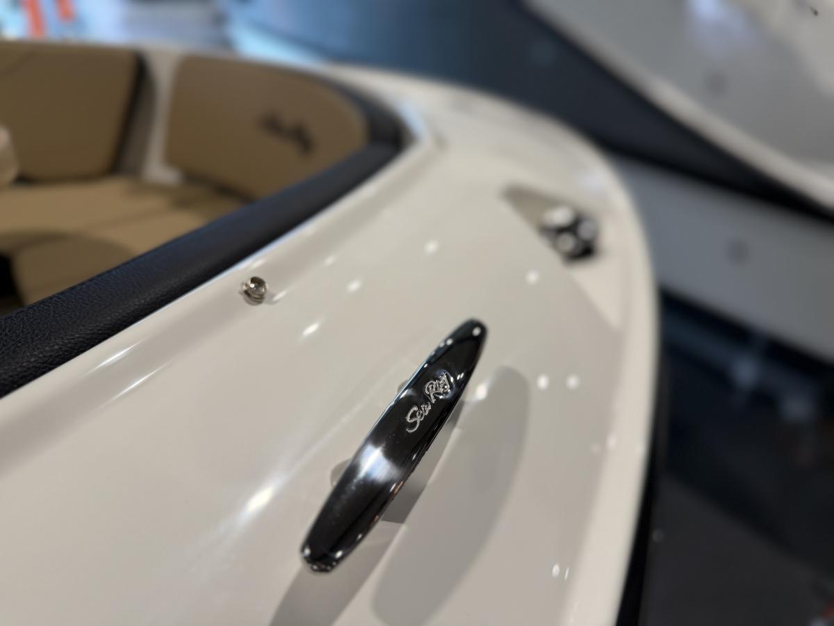 Sea Ray SPX 190 Te koop bij Bomert watersport Giethoorn