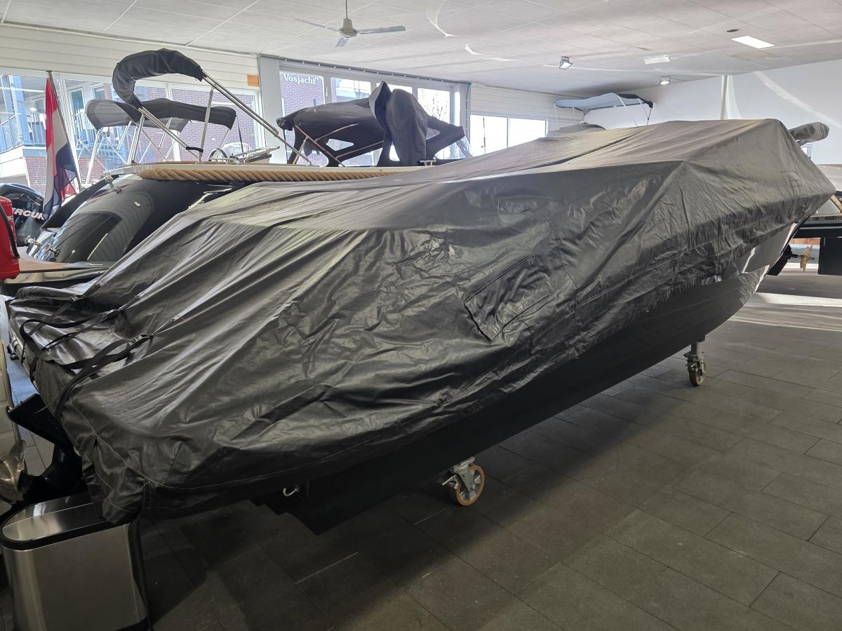 Sea Ray SPX 210 Te koop bij Bomert watersport Giethoorn